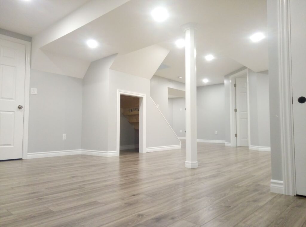 Basement Remodel